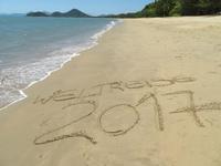 Strand von Palme Cove