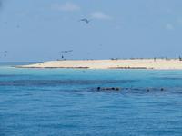 Ausflug Great Barrier Reef