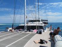 Ausflug Great Barrier Reef