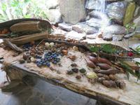 Tjapukai Kulturzentrum