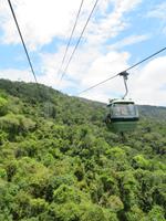 Kuranda Regenwald