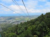 Kuranda Regenwald