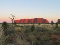 Sonnenaufgang am Uluru