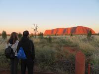 Sonnenaufgang am Uluru