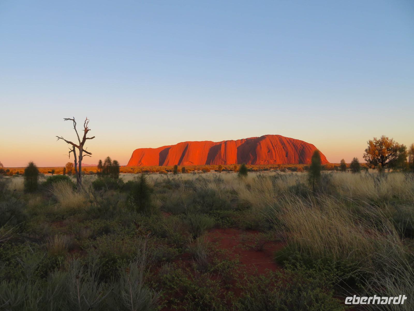 Sonnenaufgang am Uluru