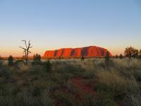Sonnenaufgang am Uluru