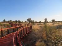 Sonnenaufgang am Uluru