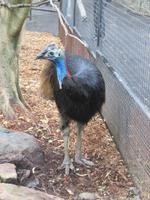 Featherdale Wildlife Park