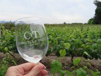 Weingut Concha y Toro