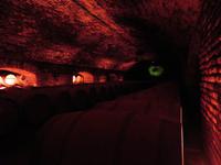 Weingut Concha y Toro