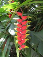 Rio de Janeiro, Santa Teresa