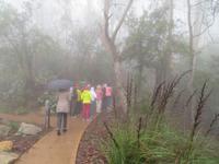 Blue Mountains