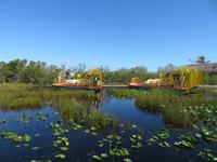 Everglades