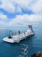 Great Barrier Reef