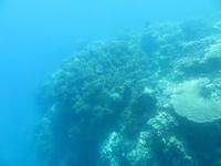 Great Barrier Reef