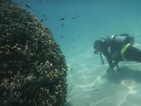 Great Barrier Reef