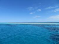 Michaelmas Cay