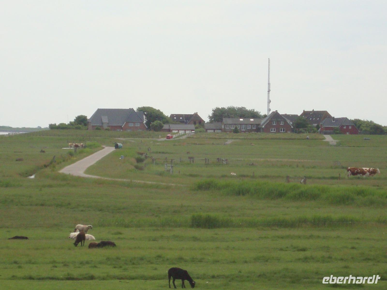 Hallig Hooge