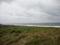 Sylt