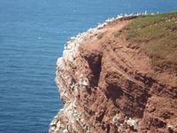 Helgoland