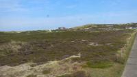 Sylt