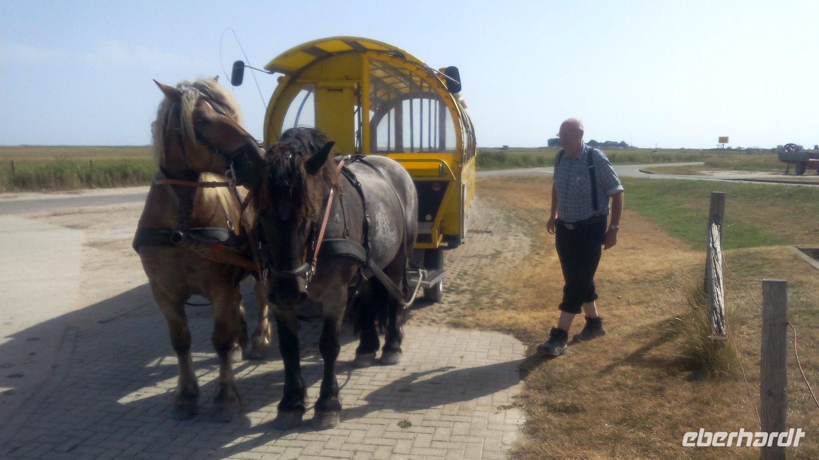 Hallig Hooge, die Königin der Halligen