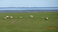 Nordfriesland Wattenmeer