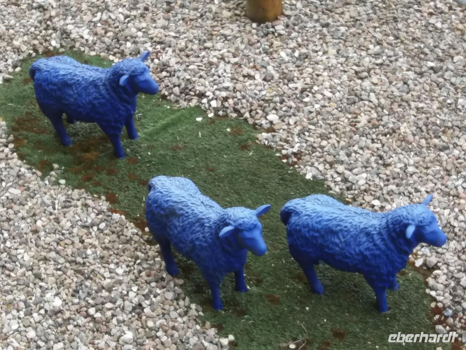 Schafe auf dem Dach des Hotels in Husum