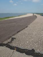 auf dem Deich am Watt