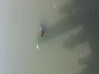 Willy oder besser Wilhelmine