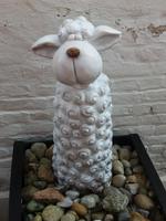 überall Schafe.....