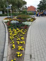 St. Peter Ording zum Strand