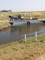 Kutschfahrt auf Hooge