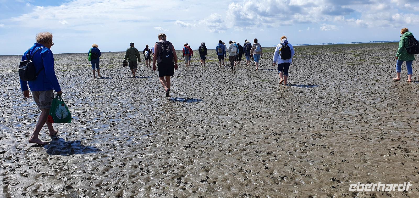 Wattwandern mit Hilke