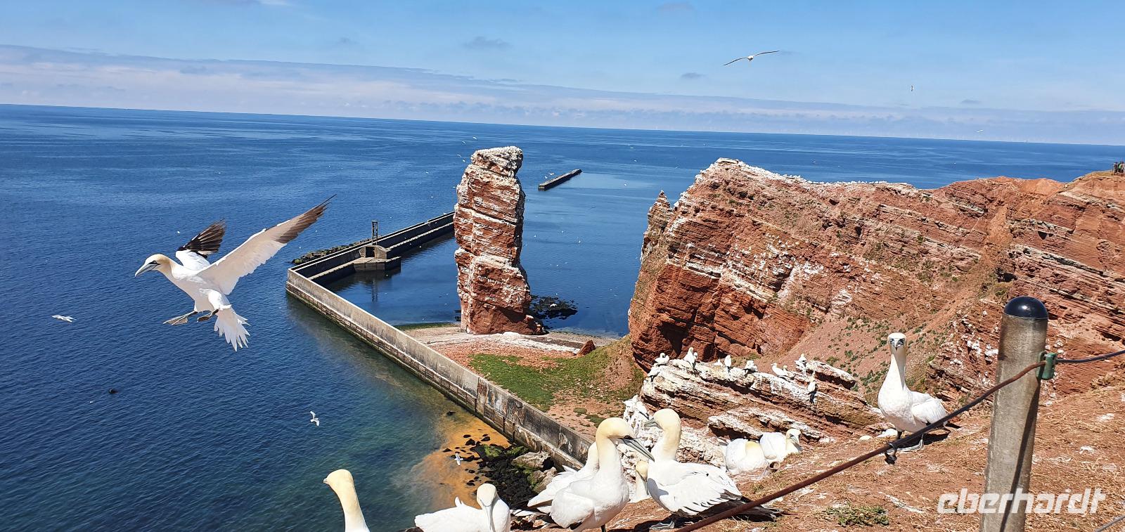 Helgolands Lange Anna