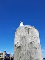 Rundreise Nordfriesland - Hörnum auf der Insel Sylt