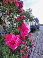 Rundreise Nordfriesland - Husum am Abend