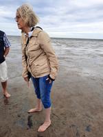 Rundreise Nordfriesland - Wattwanderung in Nordstrand mit Reiseleiterin Hilke