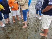 Rundreise Nordfriesland - Wattwanderung in Nordstrand