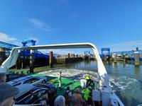 Rundreise Nordfriesland - Ankunft in Wyk auf Föhr