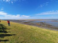 Rundreise Nordfriesland - Inselrundfahrt auf der Insel Föhr