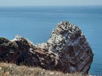 Rundreise Nordfriesland - Ausflug nach Helgoland - Rundgang auf dem Oberland