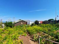 Rundreise Nordfriesland - Helgoland - Rundgang auf dem Oberland 