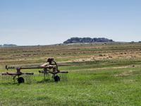 Rundreise Nordfriesland - Hallig Hooge