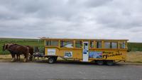 Kutschenexpress auf  Hallig Hooge
