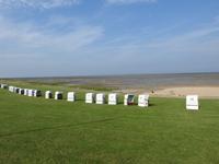 Nordfriesland Husum Nordstrand Wattwanderung