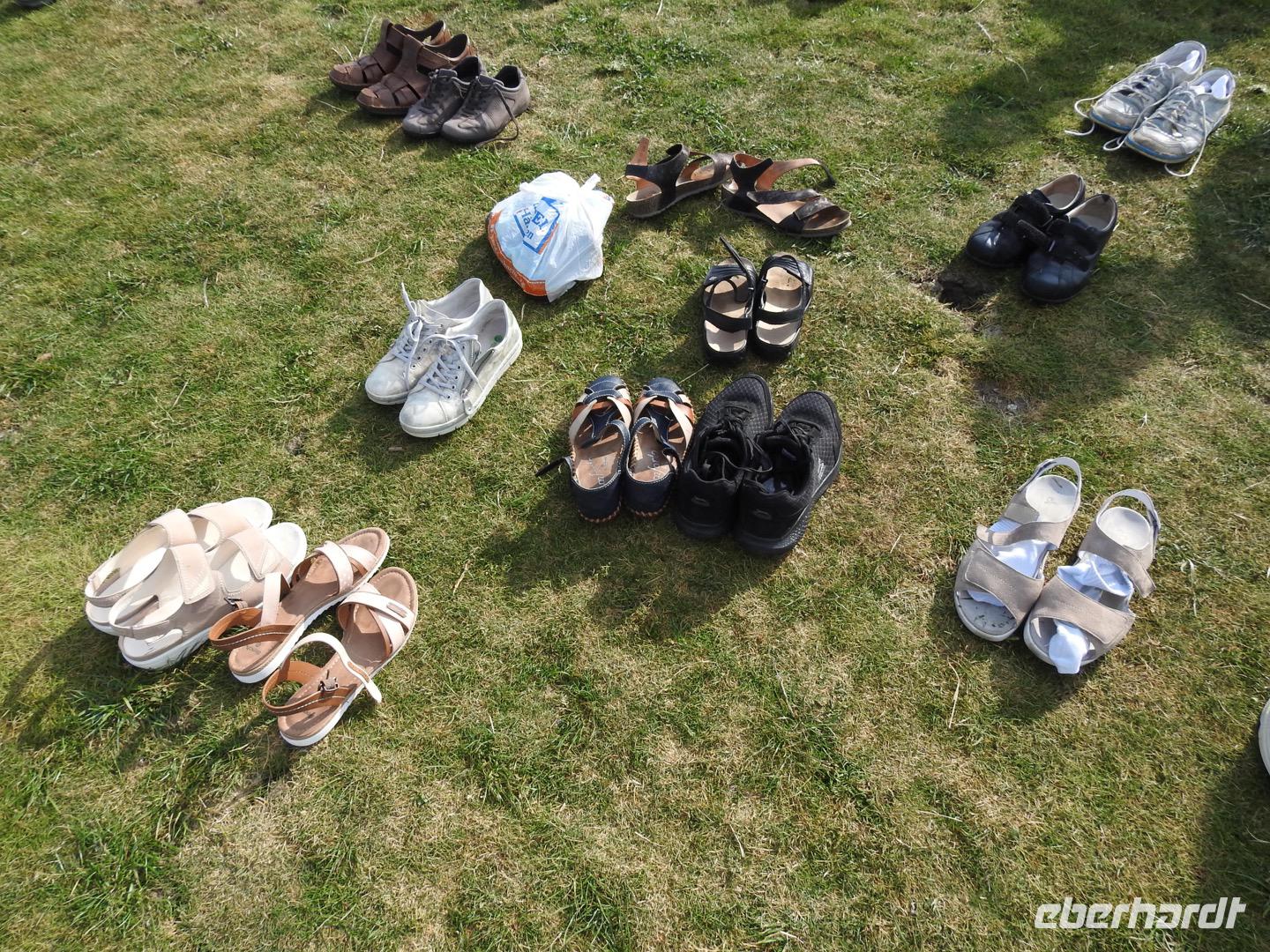 Nordfriesland Husum Nordstrand Wattwanderung