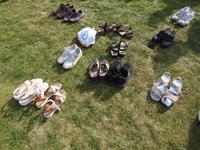 Nordfriesland Husum Nordstrand Wattwanderung