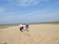 Nordfriesland Husum Nordstrand Wattwanderung