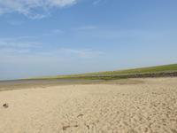 Nordfriesland Husum Nordstrand Wattwanderung